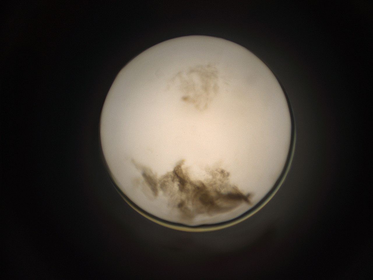 059h_I13_ImagerDefaults_7.jpg