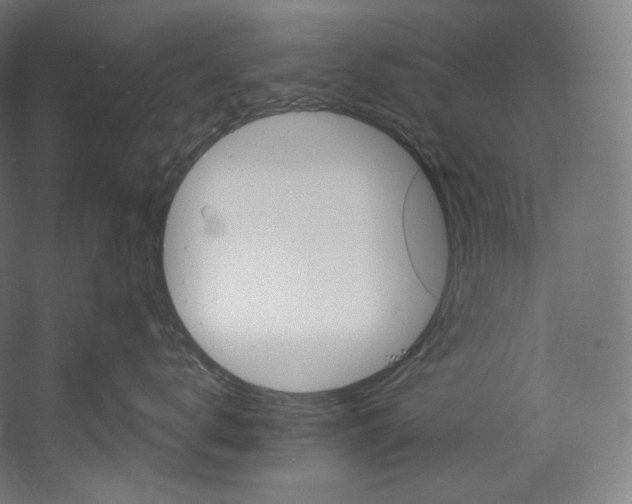 X0000055210672200508301323.png