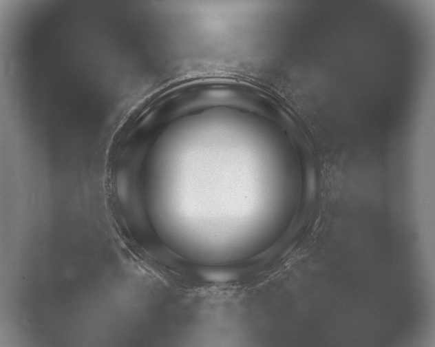 X0000052280338200507132034.png