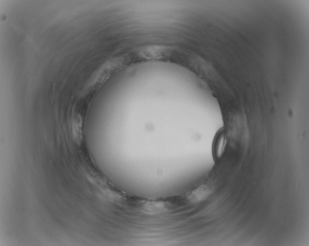 X0000054650332200508091648.png