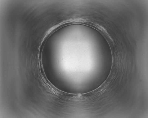 X0000055061176200508161638.png