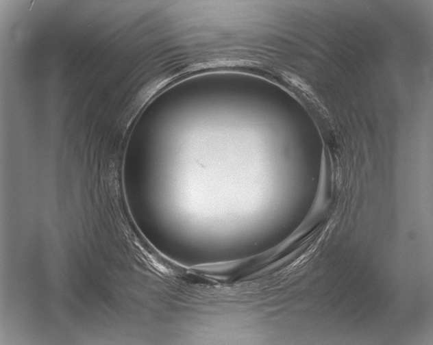 X0000055061177200508161638.png