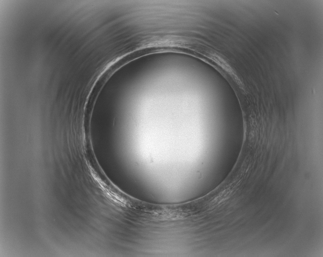 X0000055060980200508161641.png