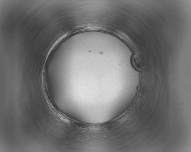 X0000055211190200508301314.png