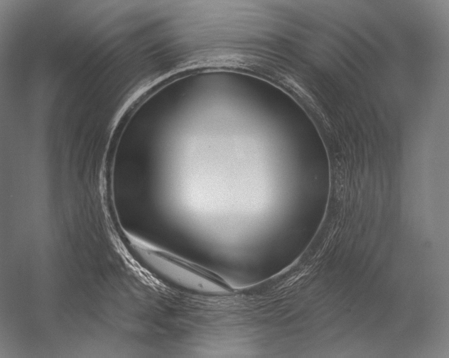 X0000055210944200508301318.png