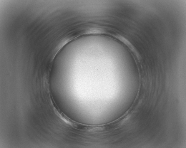 X0000054331337200508111909.png