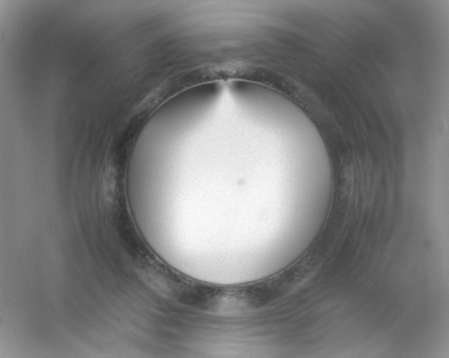 X0000054330308200508111926.png