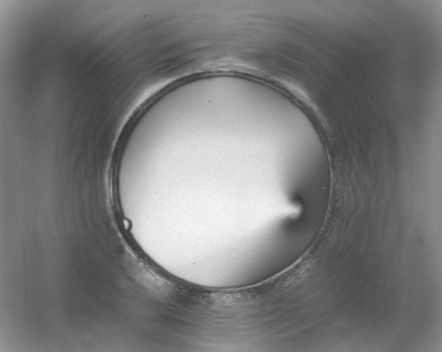 X0000054331032200508111913.png