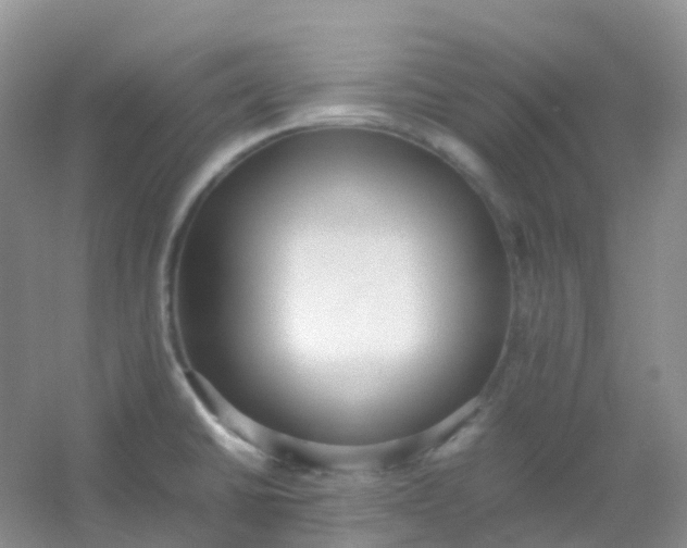 X0000054331430200508111907.png
