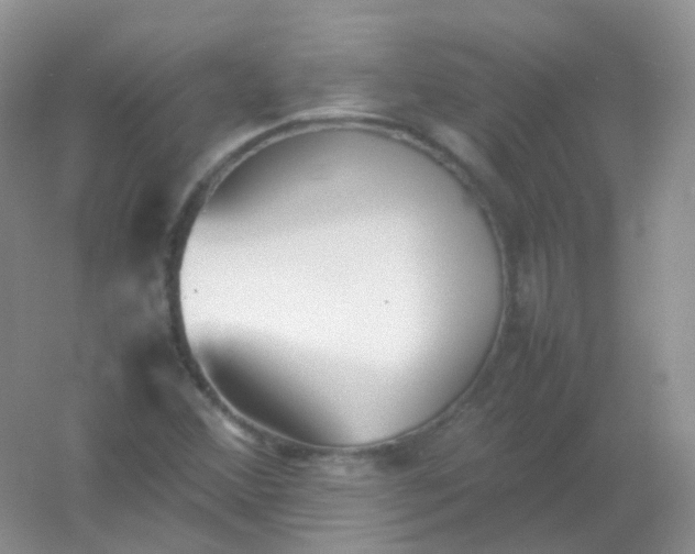 X0000054331356200508111908.png