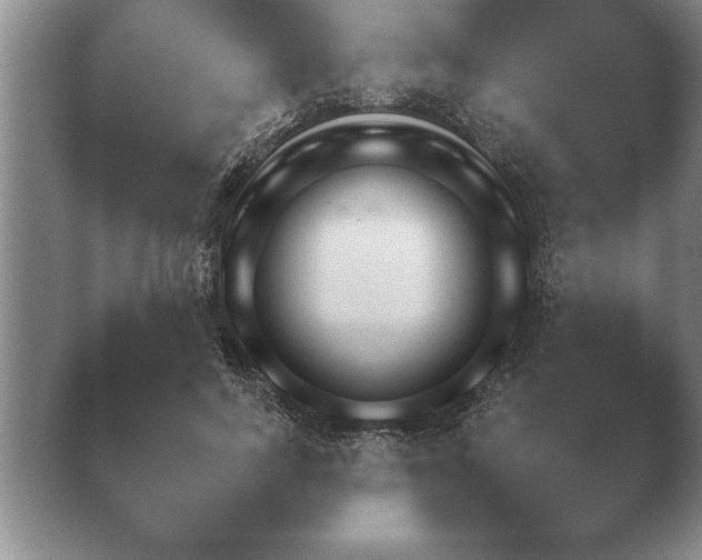 X0000040730743200410201651.png