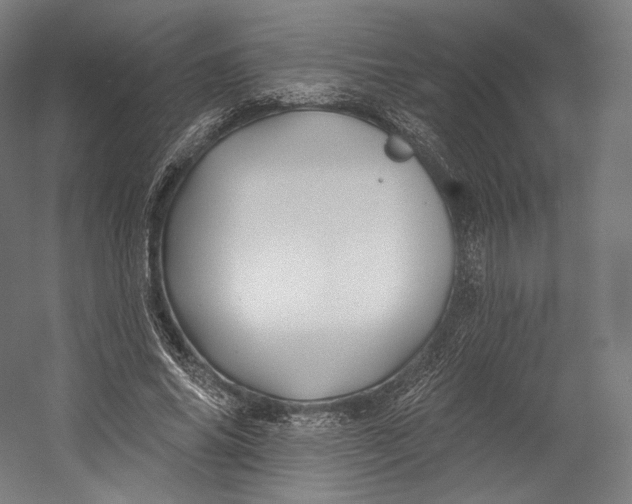 X0000055210686200508301322.png