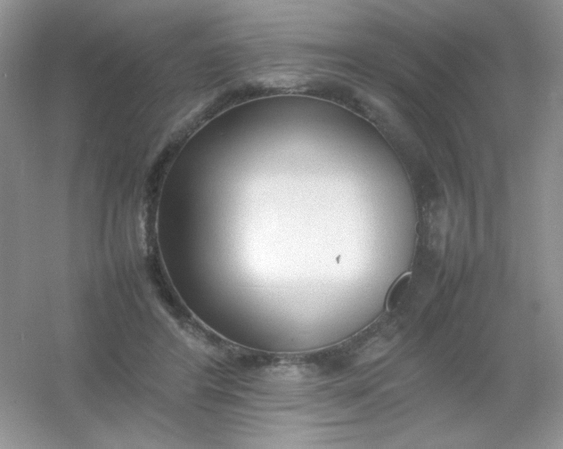 X0000054330404200508111924.png