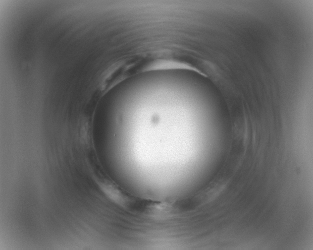 X0000054330092200508111930.png