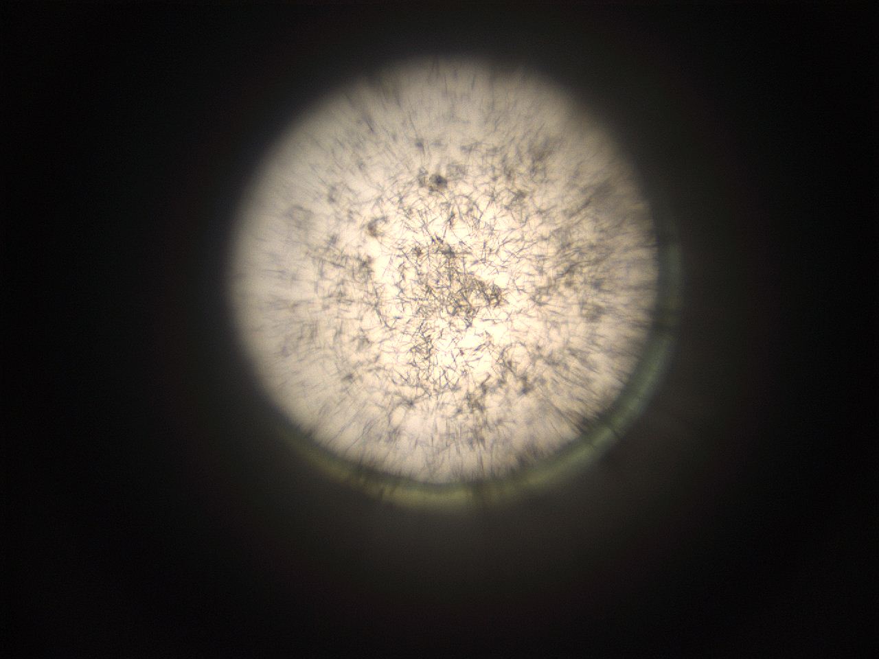 059h_K1_ImagerDefaults_9.jpg