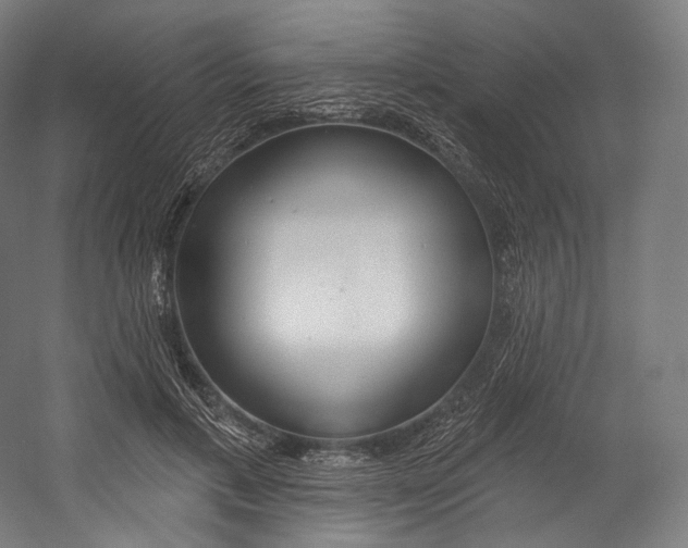 X0000055210597200508301324.png