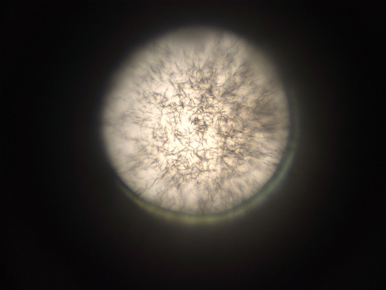 059h_K2_ImagerDefaults_9.jpg