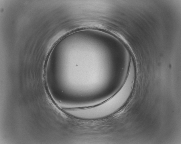 X0000054650799200508091640.png
