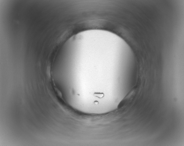 X0000054330021200508111931.png