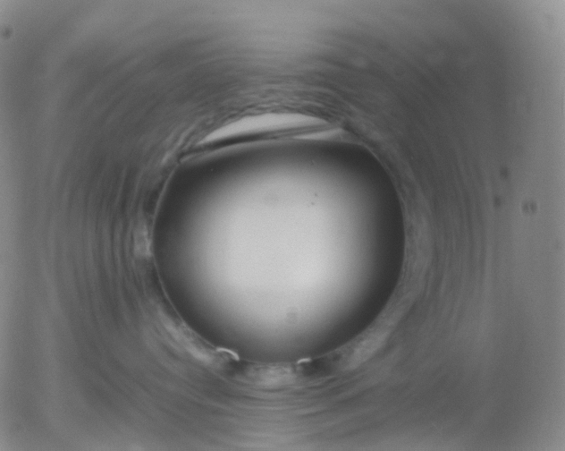 X0000054650384200508091648.png