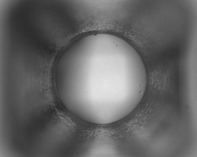 X0000052020632200507181627.png