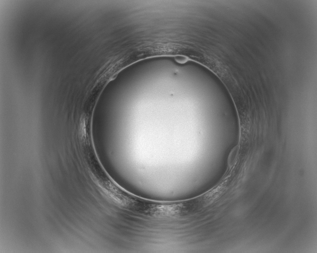 X0000055060166200508161655.png