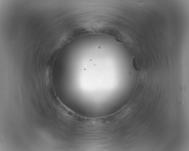 X0000054331012200508111913.png