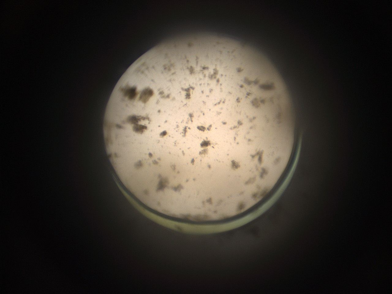 059h_I1_ImagerDefaults_9.jpg
