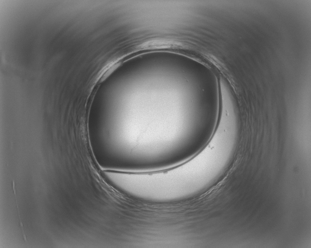 X0000055061465200508161633.png