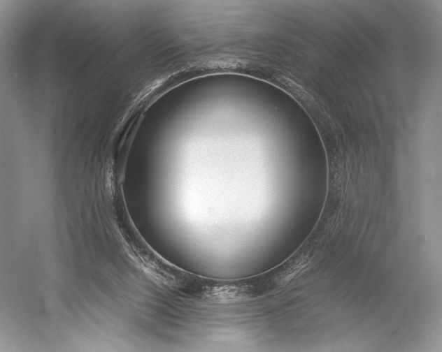 X0000055060064200508161656.png