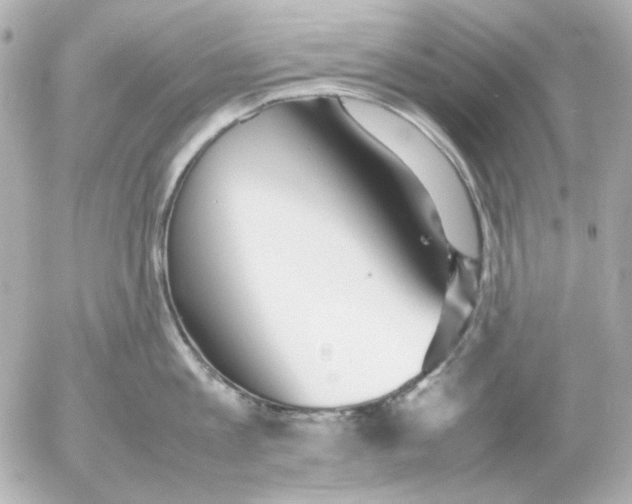 X0000054230813200508171509.png