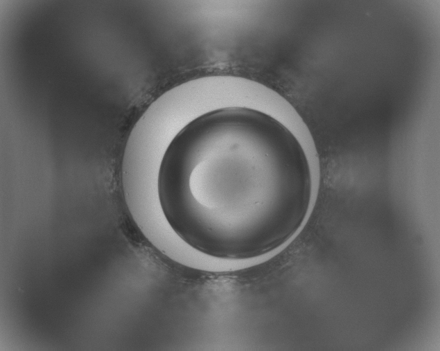 X0000054970560200509051507.png