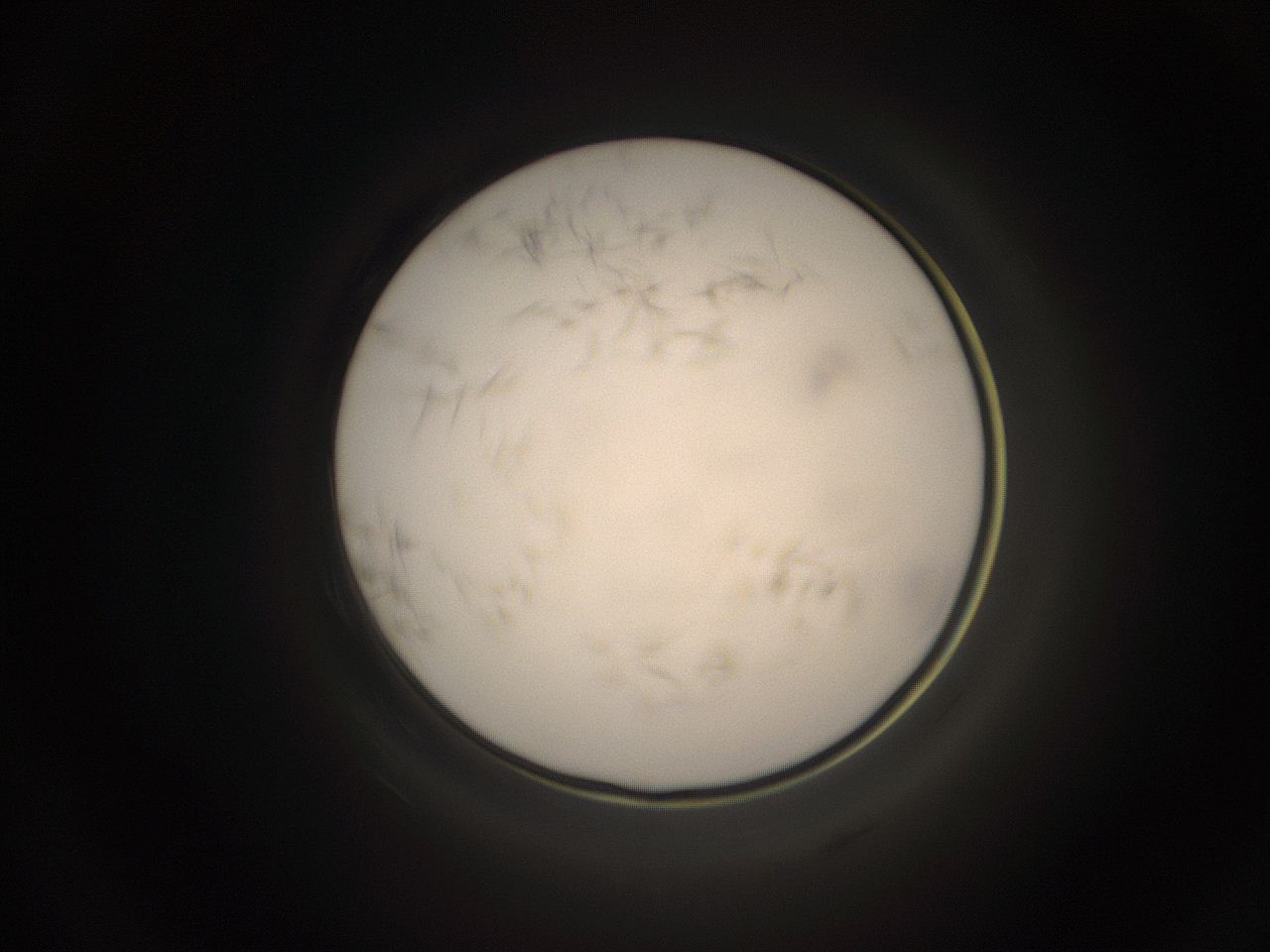 059h_I19_ImagerDefaults_9.jpg