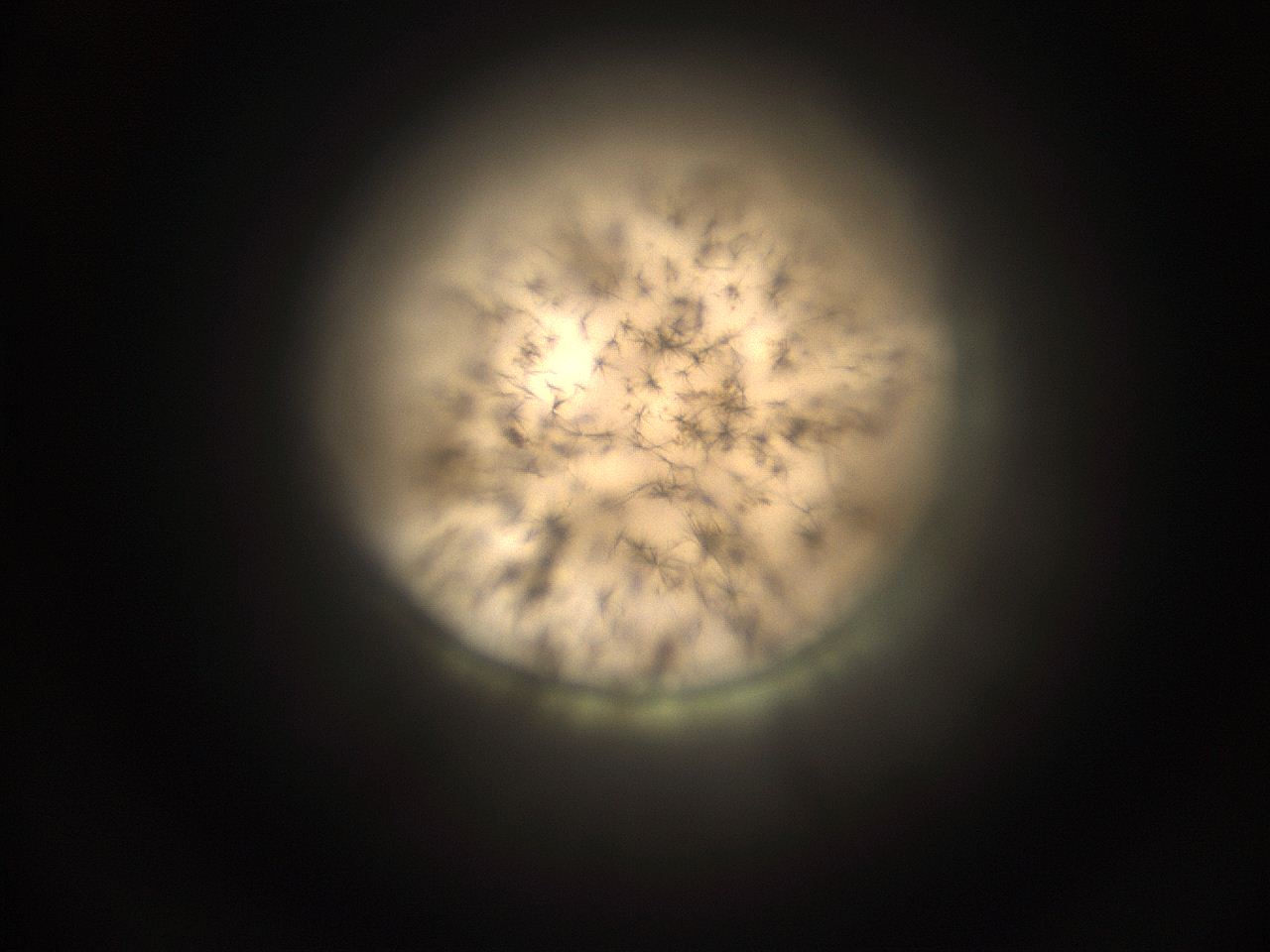 059h_L1_ImagerDefaults_9.jpg