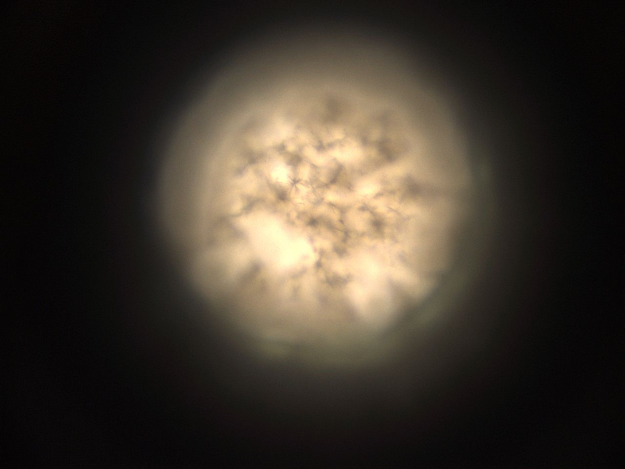 059h_L2_ImagerDefaults_9.jpg