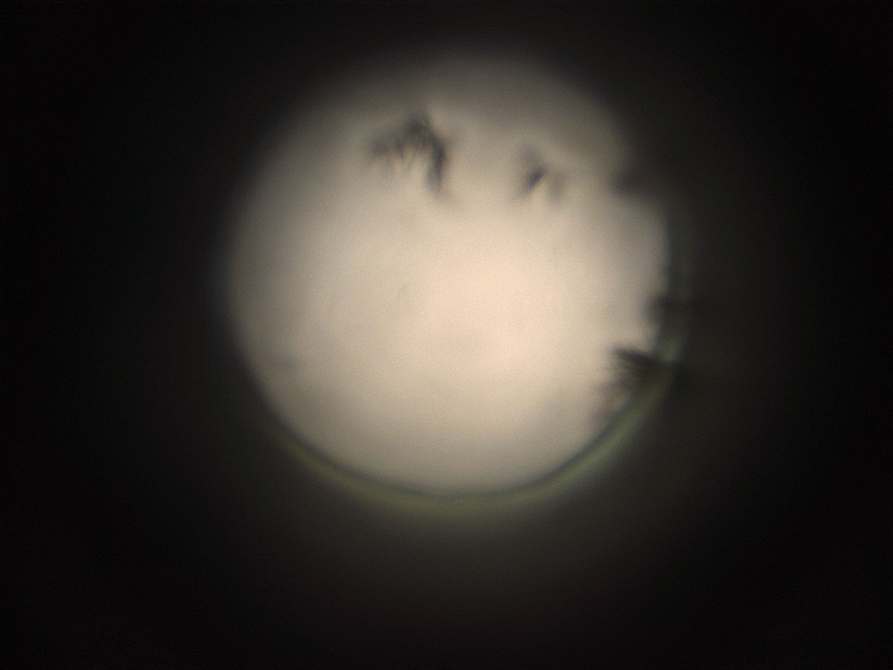 059h_L3_ImagerDefaults_9.jpg