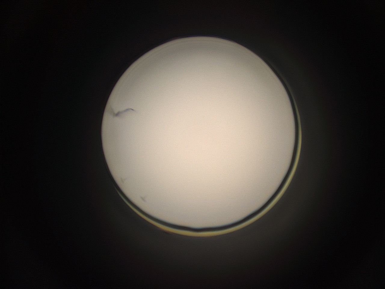 059h_M14_ImagerDefaults_1.jpg
