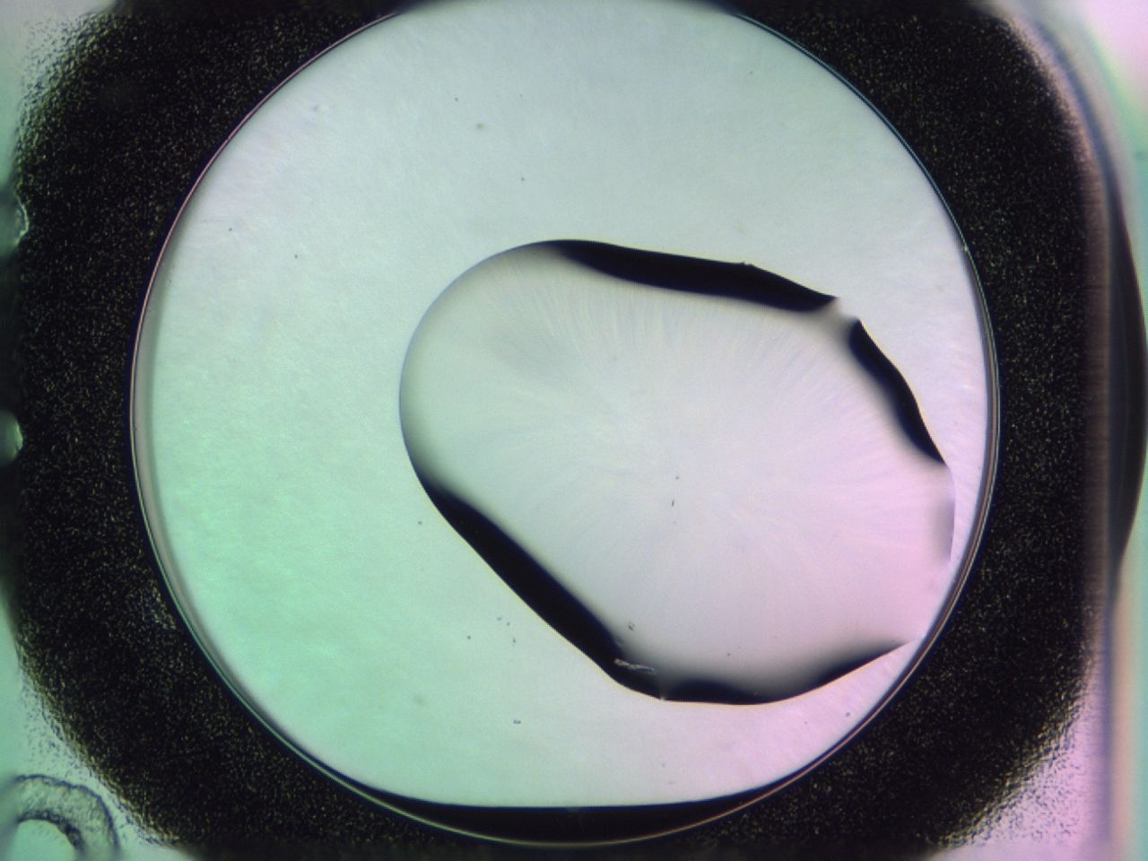 01ge_E10_ImagerDefaults_0.jpg