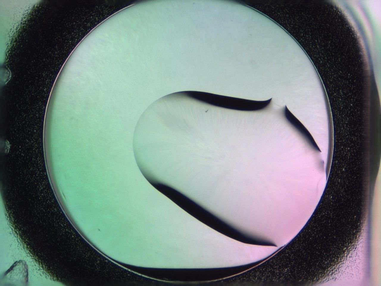 01ge_E11_ImagerDefaults_0.jpg
