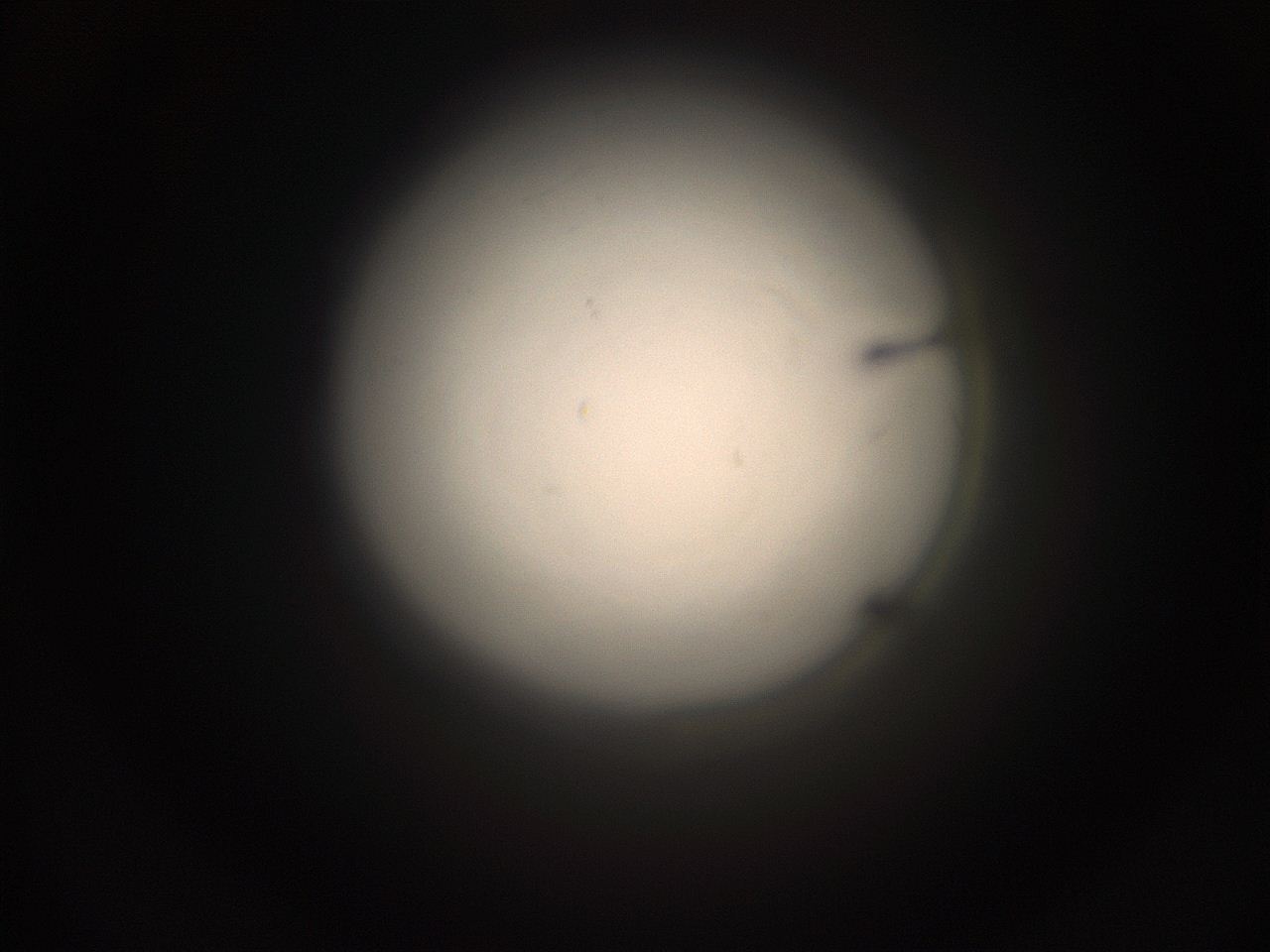 059h_P8_ImagerDefaults_1.jpg