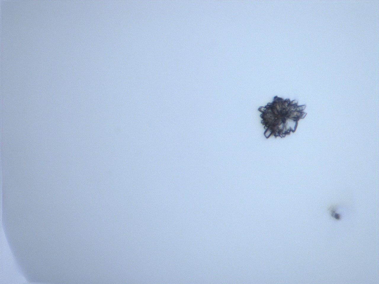 059i_B2_ImagerDefaults_9.jpg