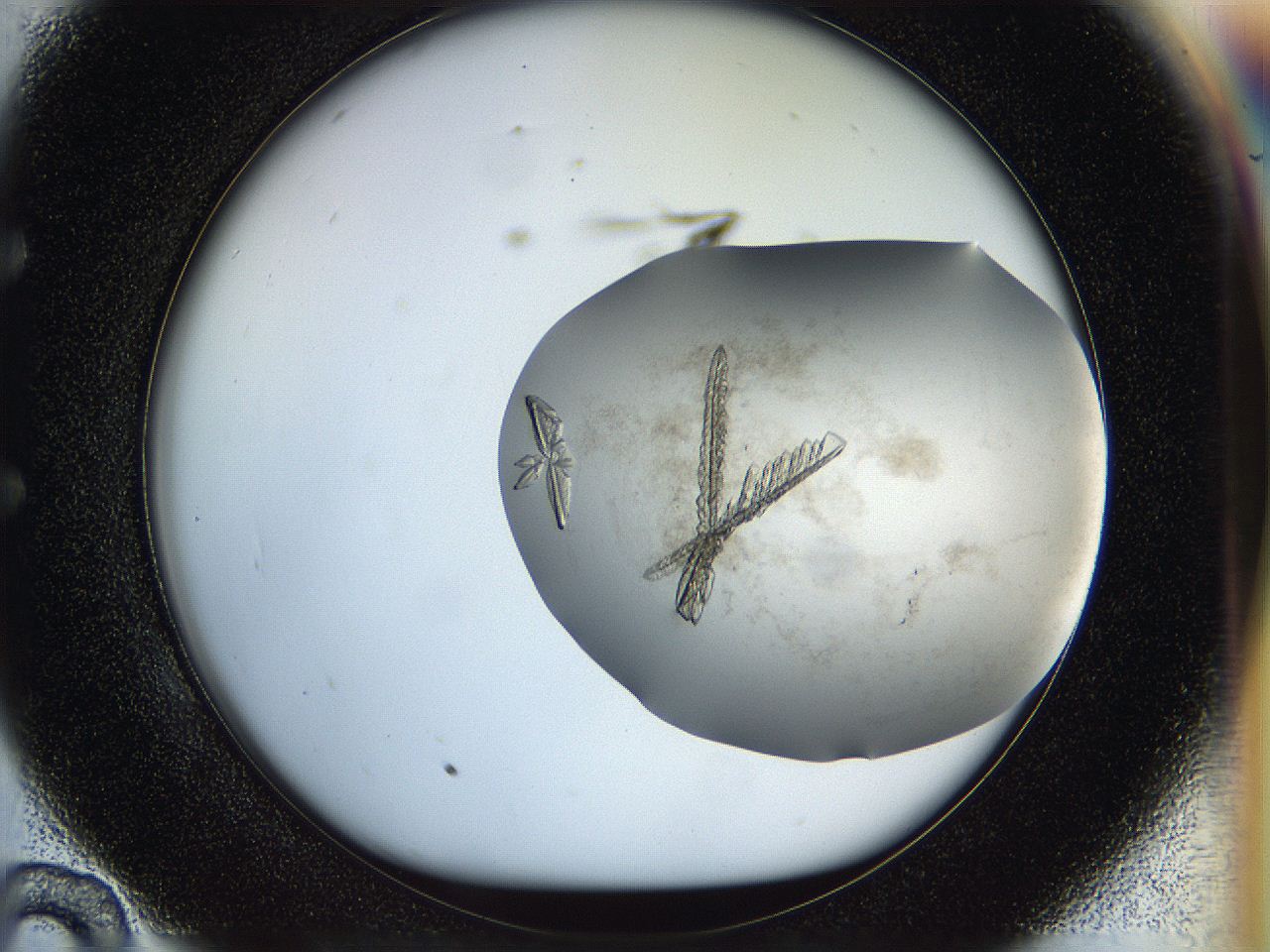 059v_E10_ImagerDefaults_8.jpg