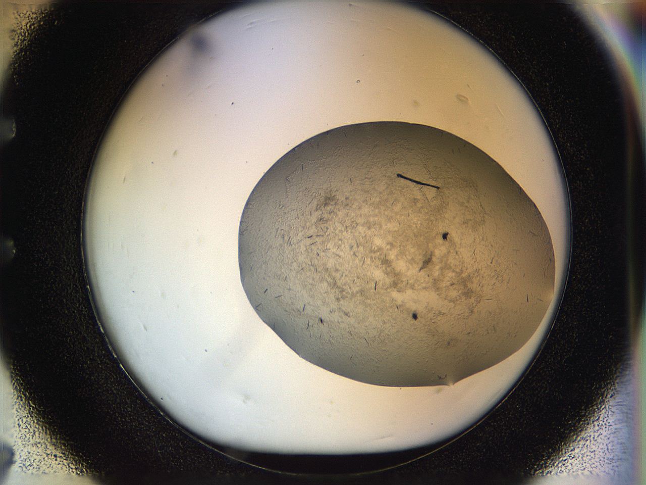 059v_E7_ImagerDefaults_7.jpg