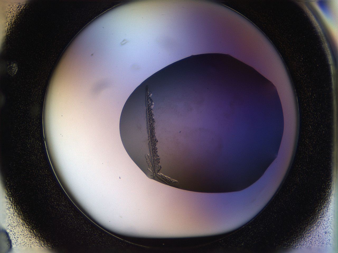059v_F3_ImagerDefaults_8.jpg
