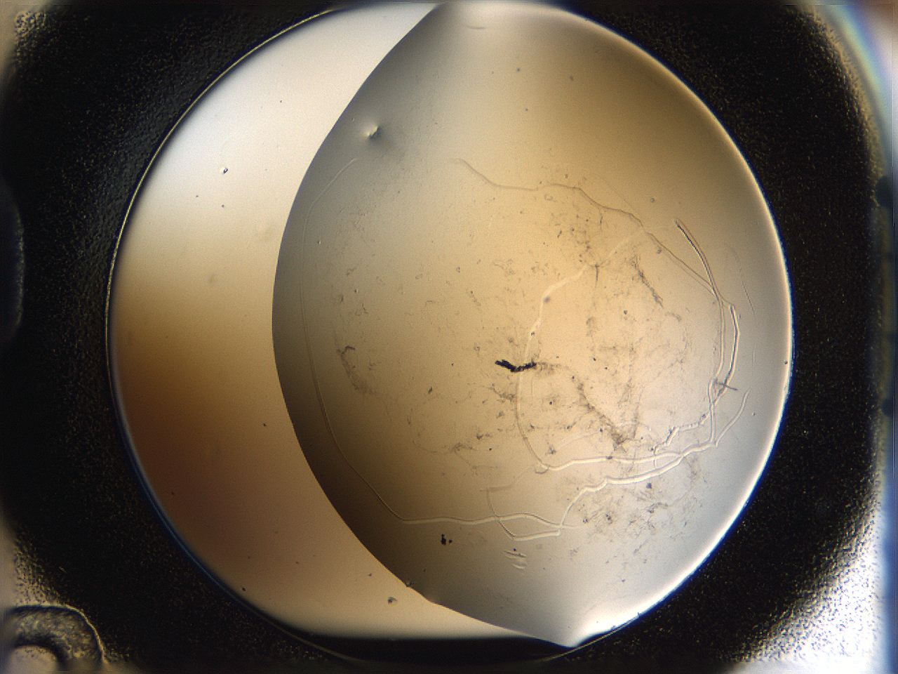 059v_D12_ImagerDefaults_9.jpg