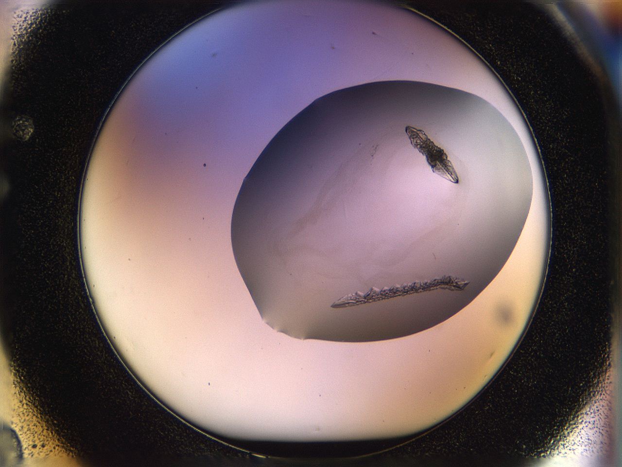 059v_F2_ImagerDefaults_8.jpg