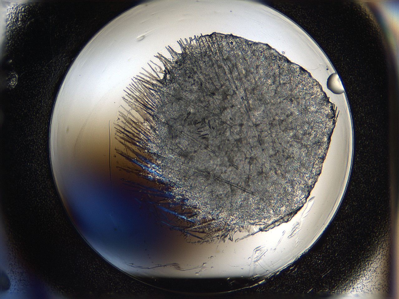 059w_F6_ImagerDefaults_9.jpg