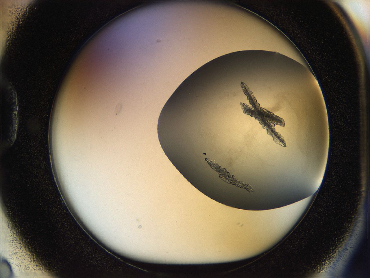 059w_D2_ImagerDefaults_8.jpg