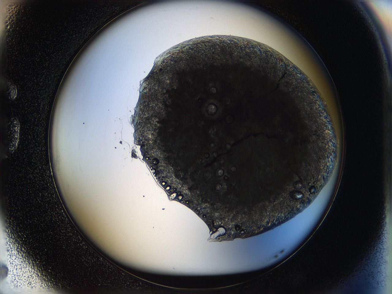 059w_G5_ImagerDefaults_8.jpg