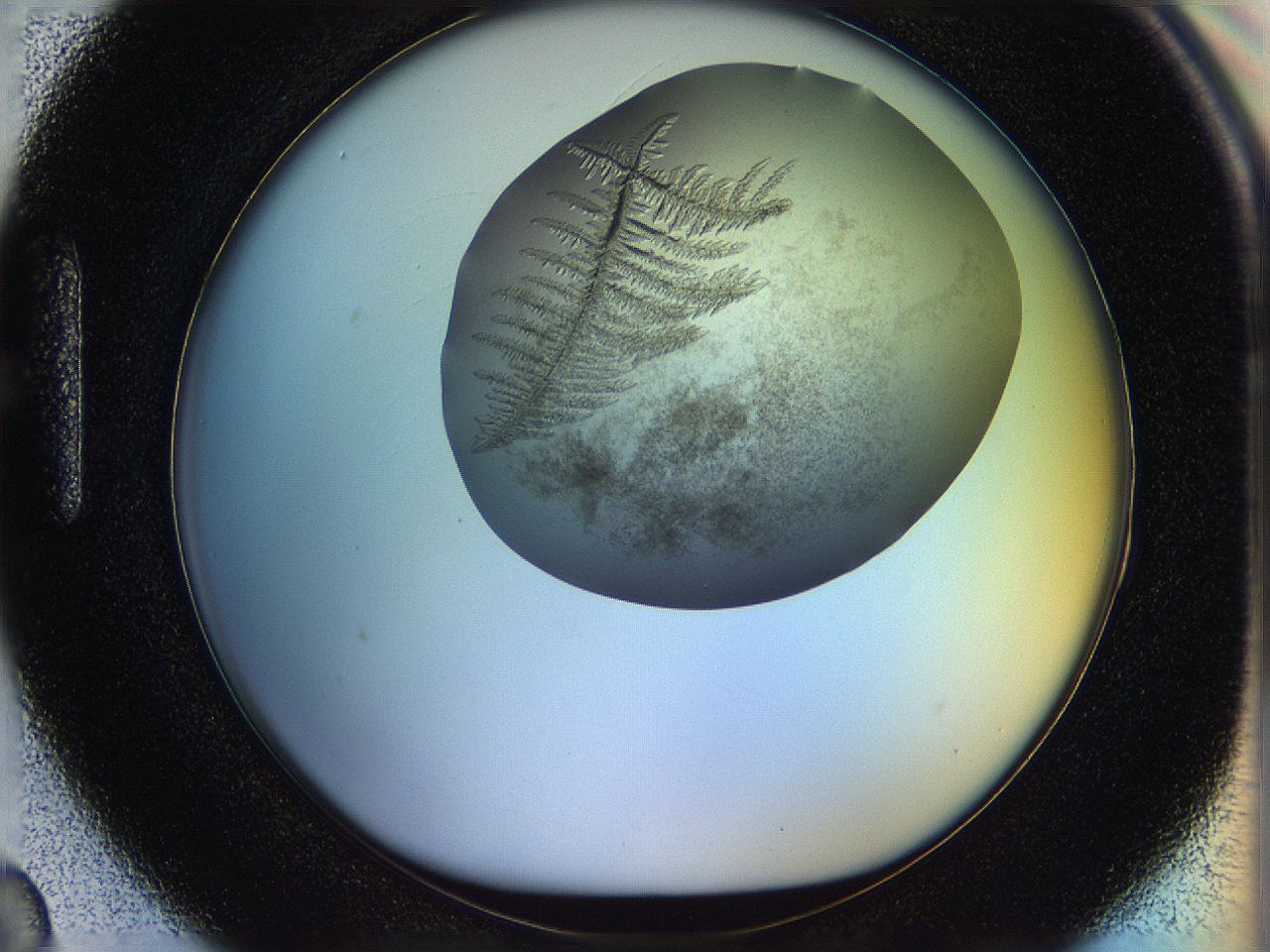 059w_H3_ImagerDefaults_7.jpg
